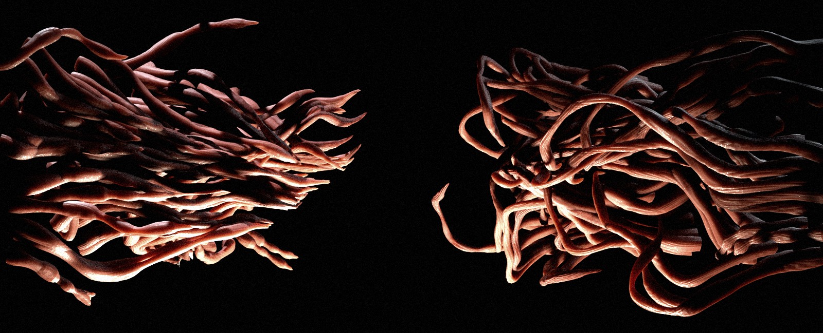 Flying Lotus 3D live visuals